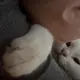 潘女士的个人头像